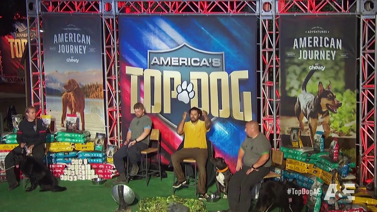 America's Top Dog - Se1 - Ep05 - Young Dog, Old Tricks HD Watch HD Deutsch