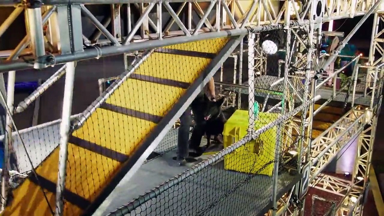 America's Top Dog - Se2 - Ep05 HD Watch HD Deutsch