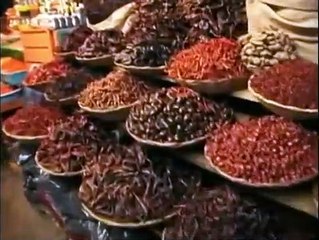 Anthony Bourdain's a Cook's Tour - Se1 - Ep15 - Tamales and Iguana, Oaxacan Style HD Watch HD Deutsch