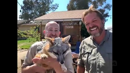 Conan - Se10 - Ep37 - Kevin Bacon HD Watch HD Deutsch