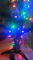 Christmas Day Festivity  Sunday, 25 December Christmas Day 2022 in Uttar Pradesh