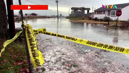 Cuaca Ekstrem Lumpuhkan Aktivitas Warga AS