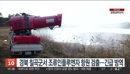 경북 칠곡군서 조류인플루엔자 항원 검출…긴급 방역