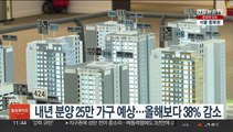 내년 분양 25만 가구 예상…올해보다 38% 감소