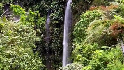 waterfalls and bird sounds