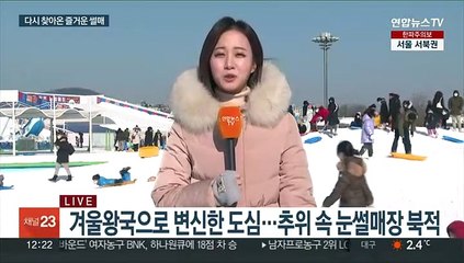 3년 만에 돌아온 겨울 놀이터…한강공원 눈썰매장