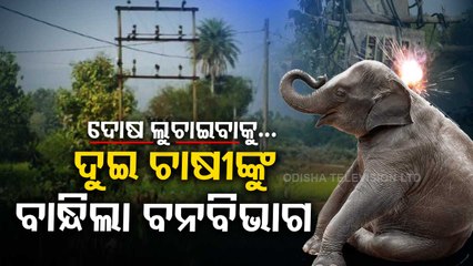In doubt forest department officials arrest 2 suspects over killing of elephant