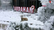 Ardahan'da sıcaklık sıfırın altında 14,8 dereceyi gördü
