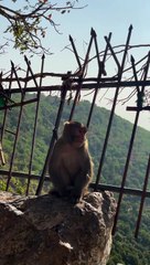 Looking  for boyfriend