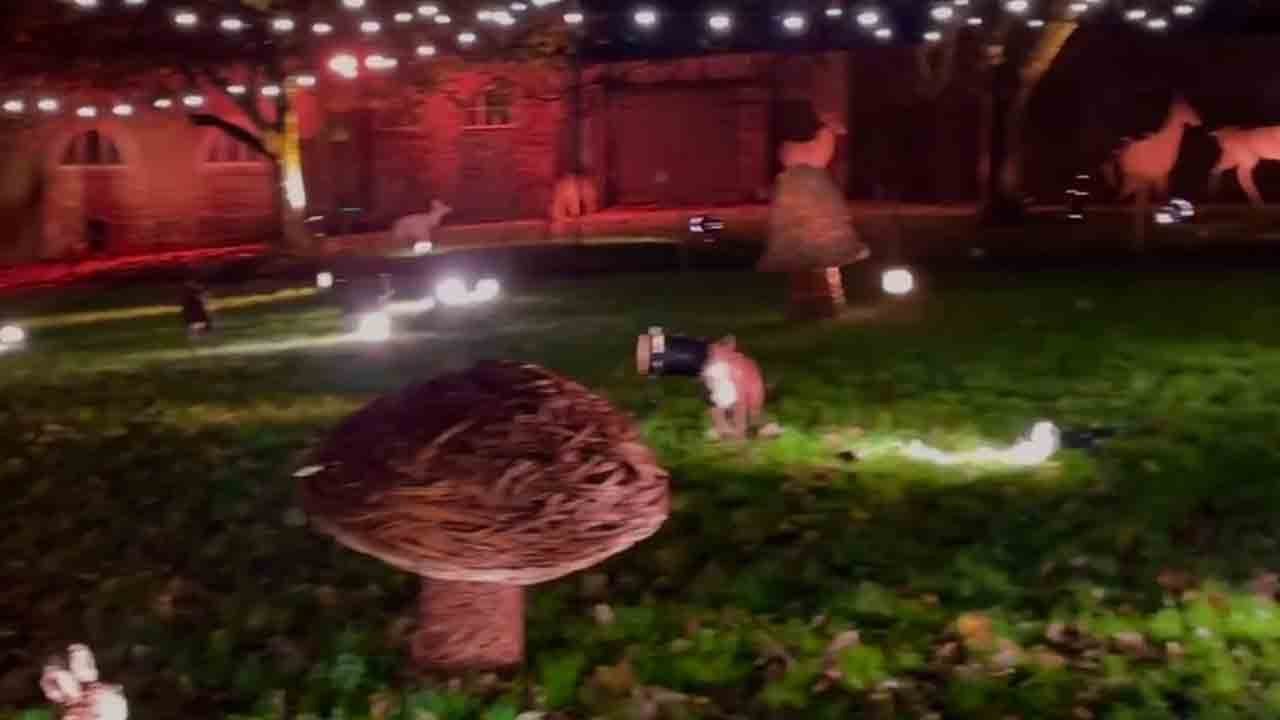 Beautifully adorned garden for Christmas party!