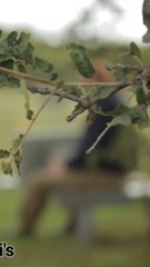 Value of person|| वैल्यू