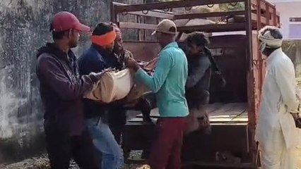 शिवपुरी: रात को खाना खाकर सोया BSC का छात्र,सुबह फांसी के फंदे पर झूलता मिला शव