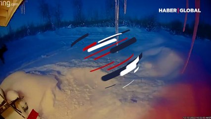 Milyonda bir görülüyor: Dev geyik boynuzlarını böyle bıraktı!