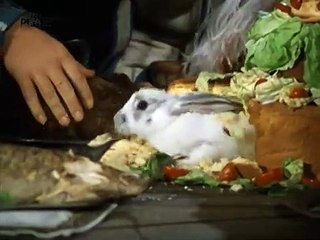 Wie heiratet man einen König Bande-annonce (DE)