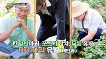 알맹이에서 알려주는 퇴행성관절염 예방 습관! TV CHOSUN 20221225 방송