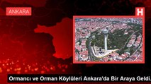 Ormancı ve Orman Köylüleri Ankara'da Bir Araya Geldi.