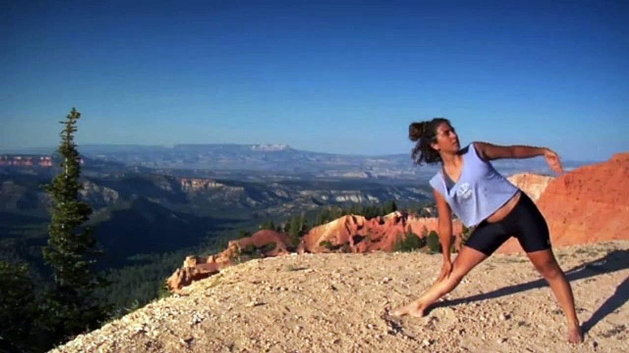 Yoga - 445