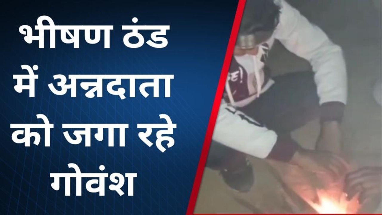 कन्नौज : ठिठुरती ठंड में गौवंशो से फसल बचाने में जुटे अन्नदाता‚ रातभर खेतों पर जागकर करते हैं रखवाली