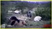 ►Most Amazing Wild Animal Attacks _LIAN, ANACONDA,RHINO,CROCODILE, DEER,-Danger Animals