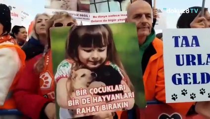 Hayvanseverler İstanbul'da ''pati'' mitinginde buluştu