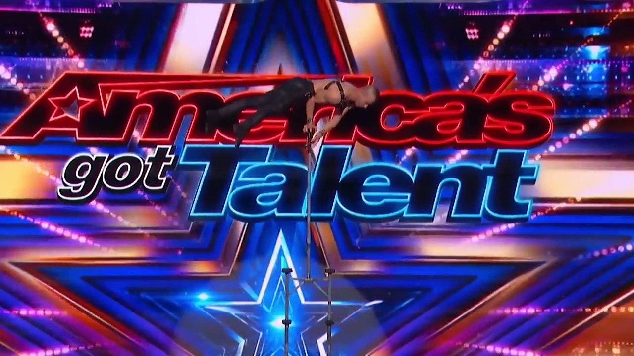 america's got talent top 10 most talented animals on america's got
