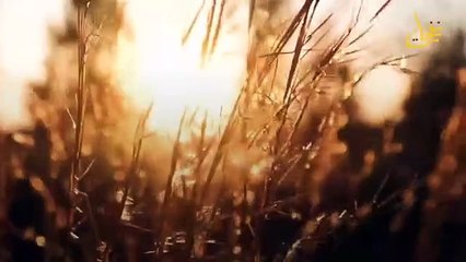 Stories of the Noble Qur’an - the story of the Children of Israel with the mighty people and the wondrous miracle that you have not heard before