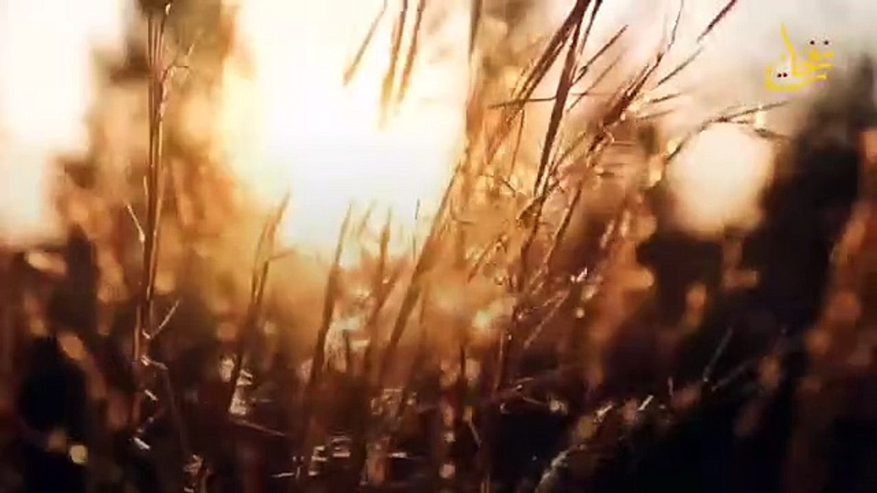 Stories of the Noble Qur’an - the story of the Children of Israel with the mighty people and the wondrous miracle that you have not heard before