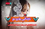 Tata gila na karam | Pashto poetry | pashto black screen status | hussan bacha.