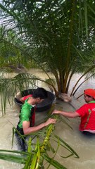 Two Guys Help Rescue Dog Trapped in Flood Waters by Chain