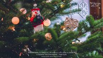 O Christmas Tree |  Instrumental Christmas Music | Joyeux Noël