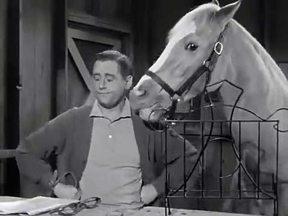 Mister Ed - Se3 - Ep16 HD Watch HD Deutsch