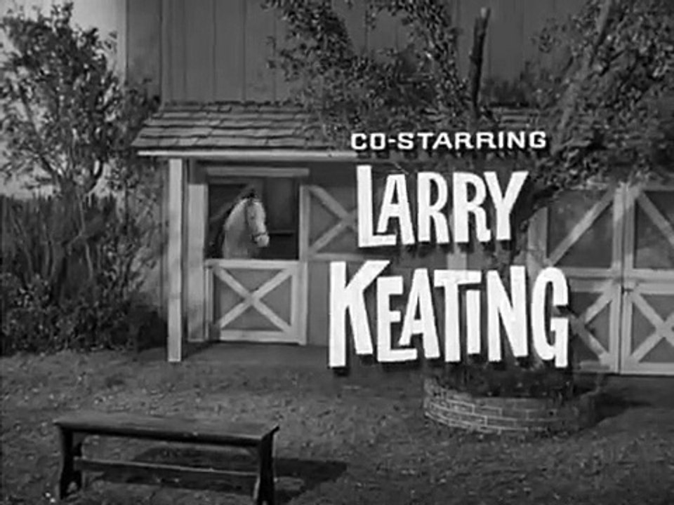 Mister Ed - Se3 - Ep17 HD Watch HD Deutsch