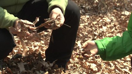 [날씨] 여전한 강추위...건조한 동해안 '산불 조심' / YTN