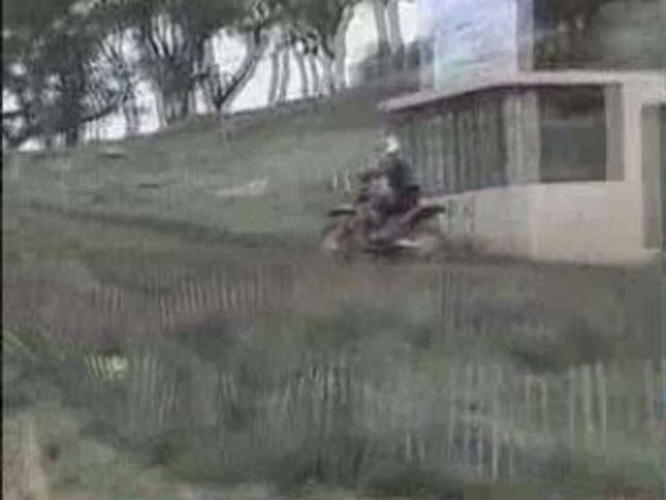 ENDURANCE AG MOTORS 20