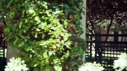 MOLLY HARTLEY - PAKT MIT DEM BÖSEN (2008) Filme Deustche HD HD Deutsch