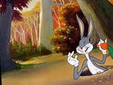 Looney Tunes Golden Collection Looney Tunes Golden Collection S02 E007 The Hare-Brained Hypnotist