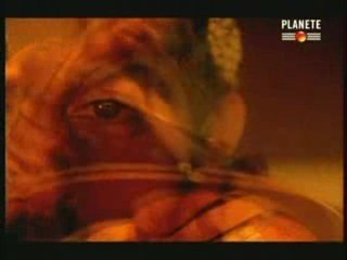 Hannibal de Carthage - Planète (3 sur 3)