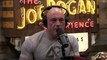 Joe Rogan: Local Honey DOESNT Help With Allergies?!! & Cell Phones Dont Harm Bees! & 