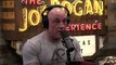 Joe Rogan: Bee's Go Extinct So Will EVERYTHING On The Planet!! & Are Cell Phones BAD With Bee's?!