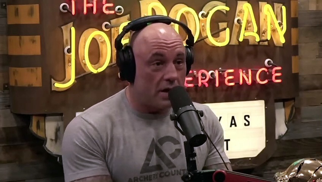 Joe Rogan: Bee's Go Extinct So Will EVERYTHING On The Planet!! & Are Cell Phones BAD With Bee's?!