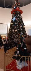 Christmas Decoration in Grenoble  Noël   en France #Noël #noel #christmas2022 #christmasdecor #decoration #christmas #france (3)