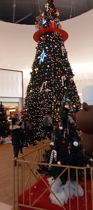 Christmas Decoration in Grenoble  Noël   en France #Noël #noel #christmas2022 #christmasdecor #decoration #christmas #france (3)