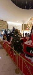 Christmas Decoration in Grenoble  Noël   en France #Noël #noel #christmas2022 #christmasdecor #decoration #christmas #france (6)