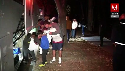 Senadora propone vigilar redes sociales para combatir venta ilegal de vida silvestre