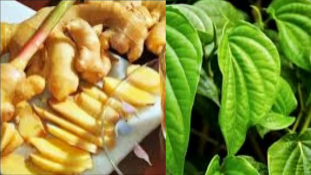 6 Herbal Penurun Kolesterol Tinggi yang Cepat dan Aman yang mudah kita dapatkan