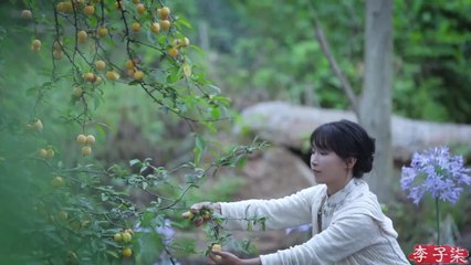 我们中国人的开门七件事，柴米油盐酱醋茶 Firewood, rice, oil, salt, soy sauce, vinegar, and tea丨Liziqi Channel