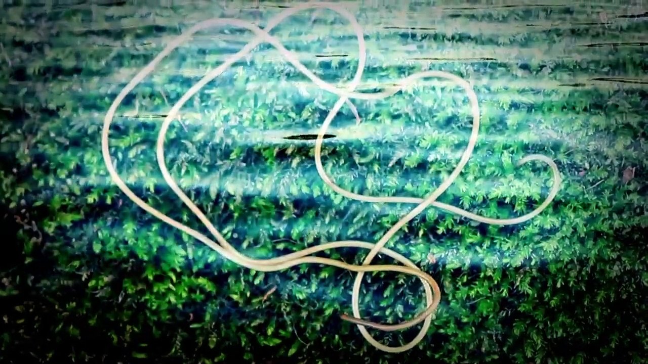 Strange Evidence - Se6 - Ep08 - Russian Car Bomb HD Watch HD Deutsch