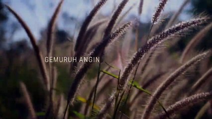 Satu Kali - TULUS | Full Lyrics & Music Video 🎶