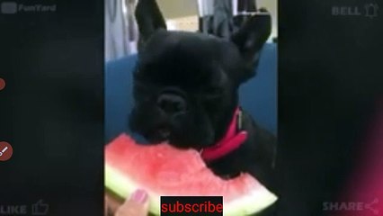 az_recorder_20221225_185509