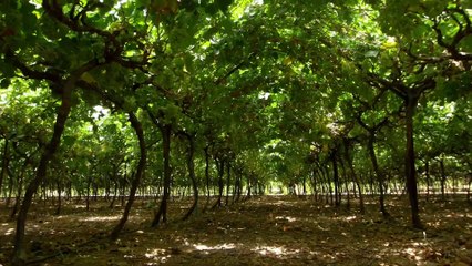 France in Stunning 4K Ultra HD 🇫🇷